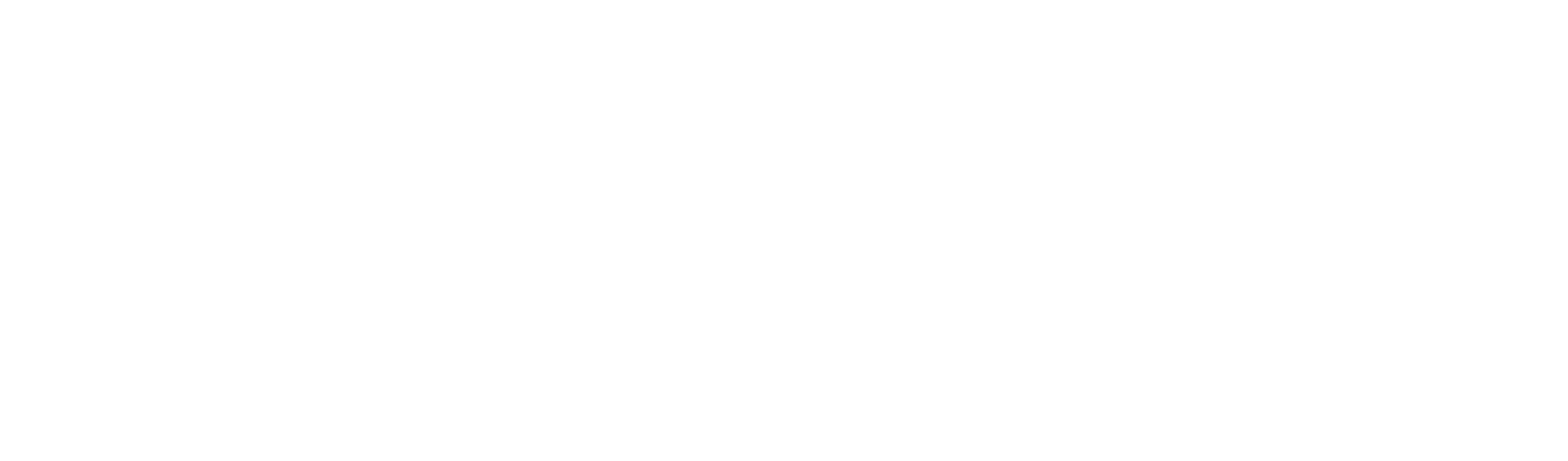 Ruscitti Team
